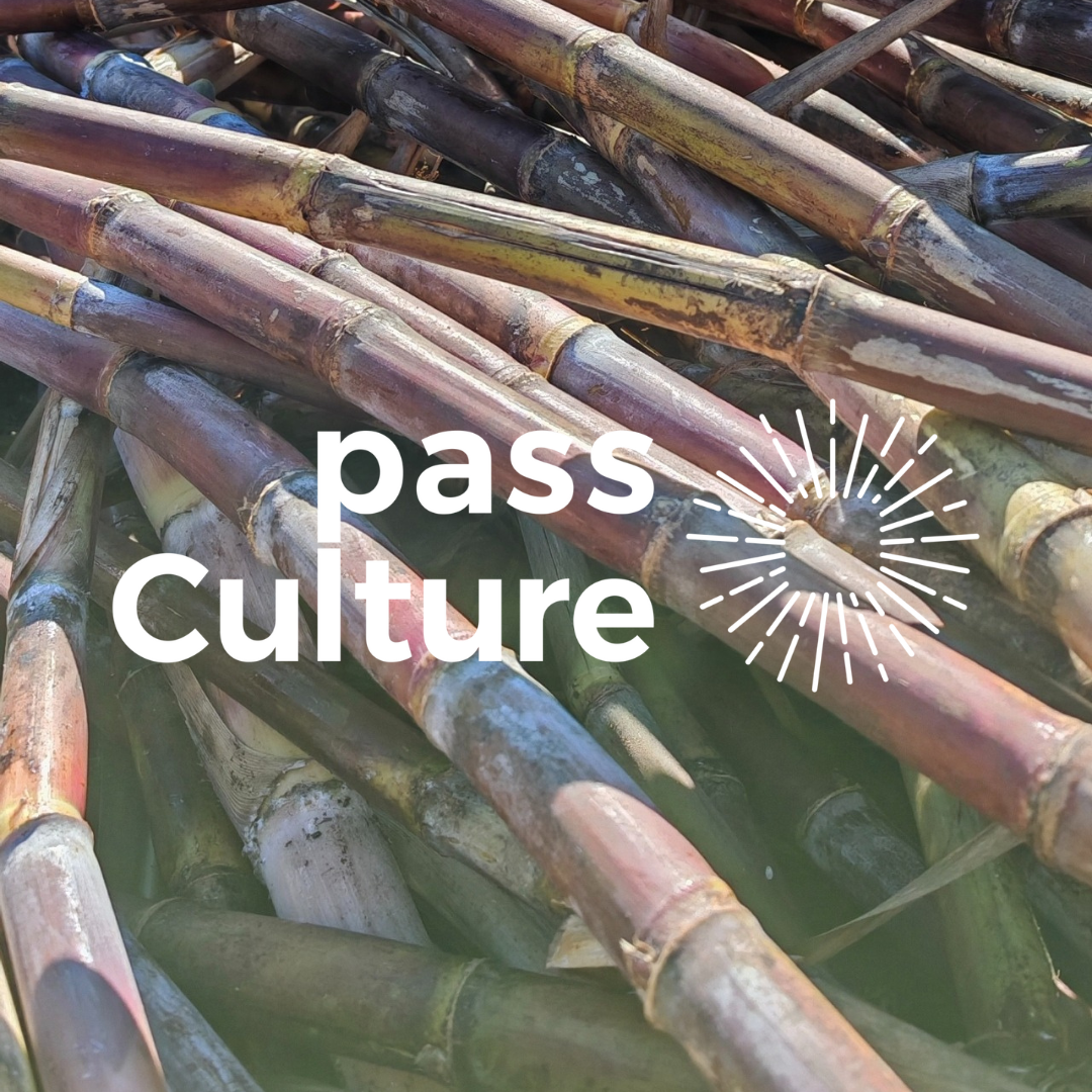financement pass culture